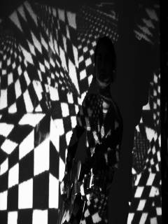 たこ助さんの写真1