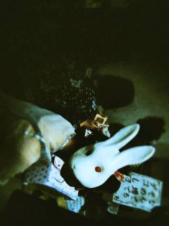 ハトハナノさんの写真1