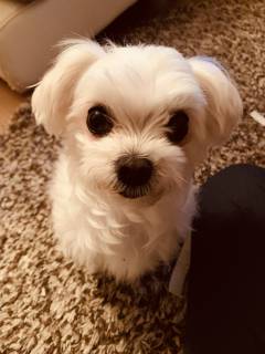 まさのりさんの写真1