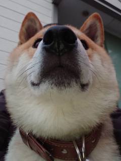 タロウさん。さんの写真1