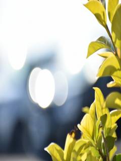 ＭＵ..さんの写真1