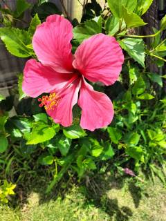 なるみさんの写真1