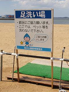 のーとーんさんの写真1