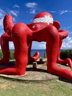 ノリさんの写真1