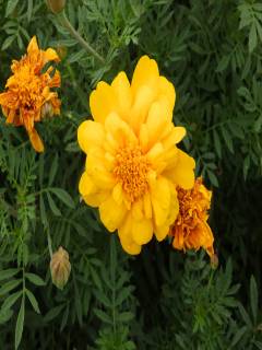 ムンクさんの写真1