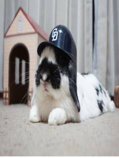 牧瀬リボーンさんの写真1