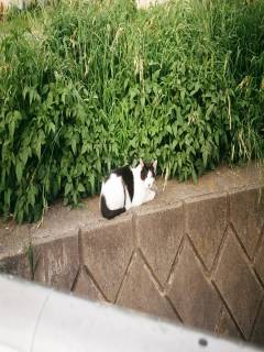 けいたさんの写真1