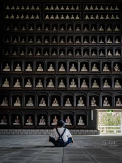 ごんすけさんの写真1