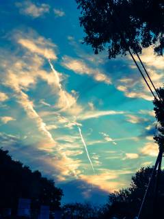 hiroさんの写真1