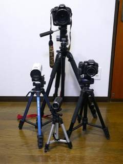 賀茂川さんの写真1