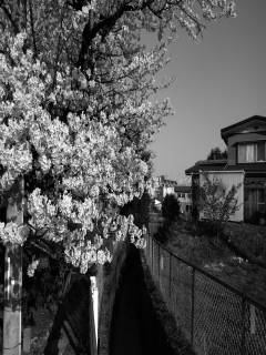 人樹さんの写真1