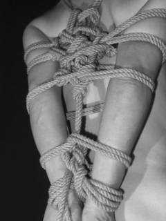 ミッドナイトさんの写真1