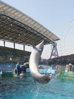 RicBlueさんの写真1