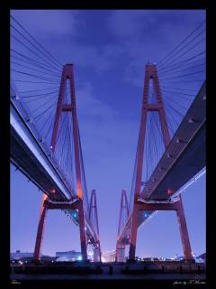 まめくんさんの写真1